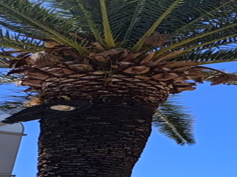 plavo nebo plavo more