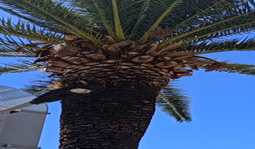 plavo nebo plavo more